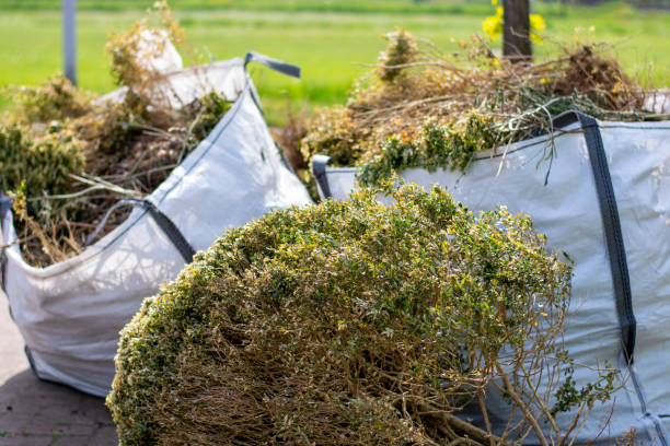 Debris Removal in Las Animas, CO